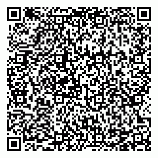 vCard 78124097285