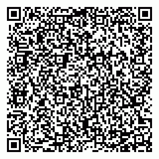 vCard 78124097333