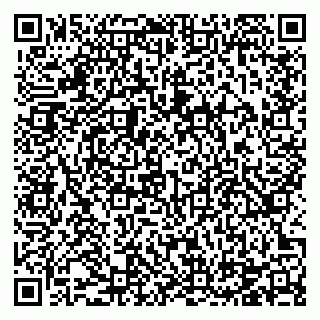 vCard 78124097377