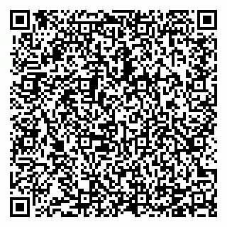 vCard 78124097381