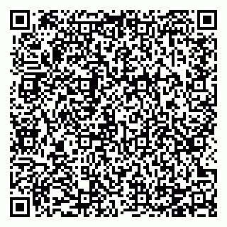 vCard 78124097385