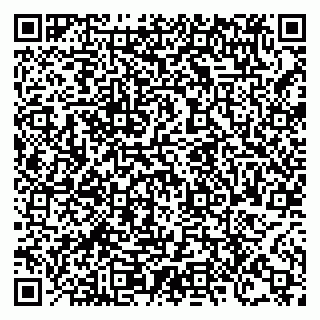 vCard 78124097387