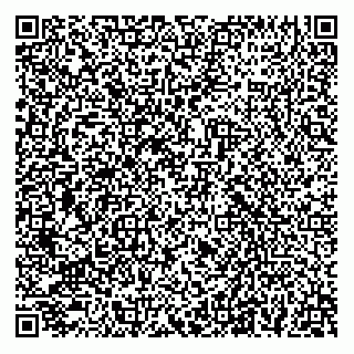 vCard 78124163296