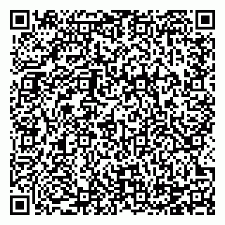 vCard 78124166625