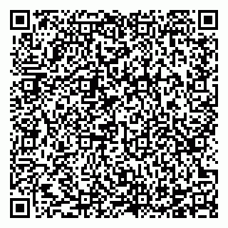 vCard 78124177381