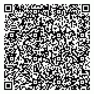 vCard 78124207041