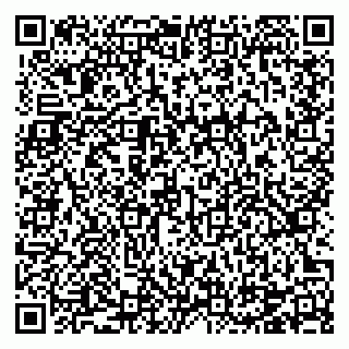 vCard 78124207313