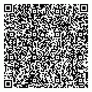 vCard 78124207333