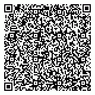 vCard 78124207381
