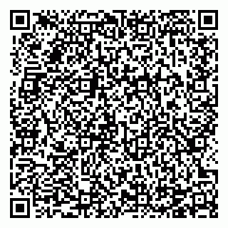 vCard 78124207385