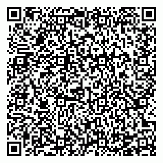 vCard 78124207387