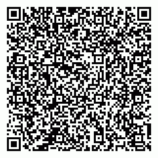 vCard 78124207389