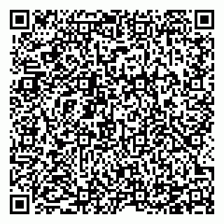 vCard 78124251635