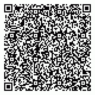 vCard 78124264102