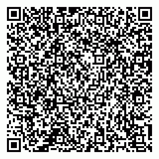 vCard 78124264130