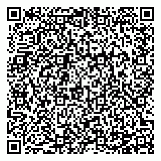 vCard 78124264133