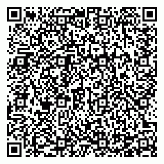 vCard 78124264389