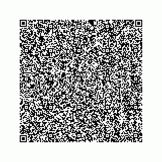 vCard 78124290333
