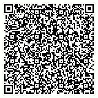 vCard 78124290617