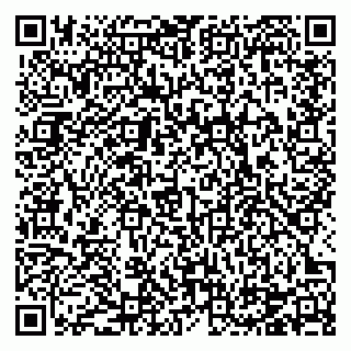 vCard 78124290704