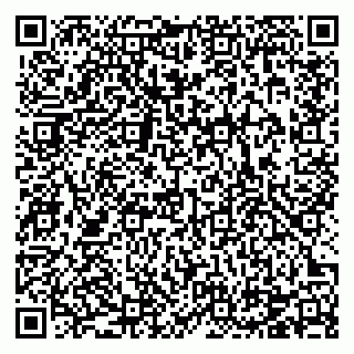 vCard 78124290870