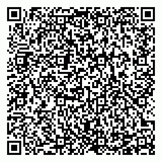 vCard 78124290881