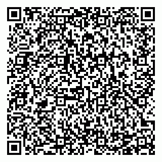 vCard 78124290887