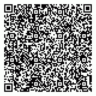 vCard 78124381317