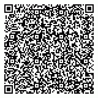 vCard 78124381331