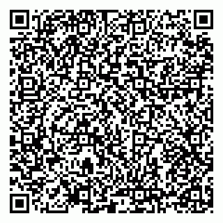 vCard 78124381333