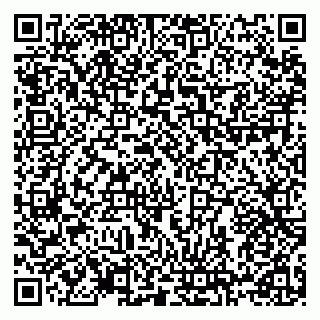 vCard 78124381334