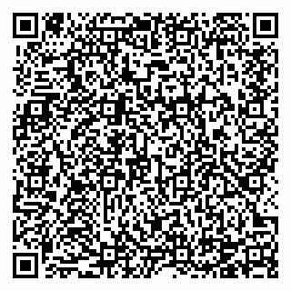 vCard 78124381335