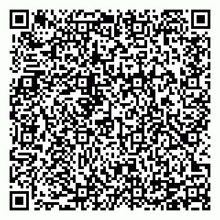 vCard 78124381337