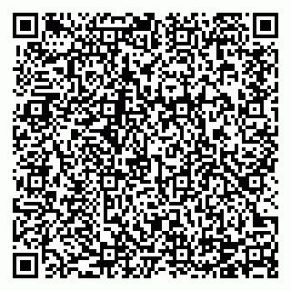 vCard 78124381340