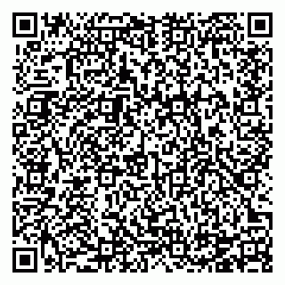 vCard 78124381343