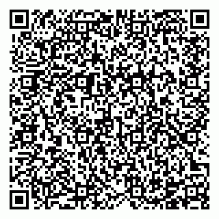 vCard 78124381413