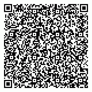 vCard 78124381425