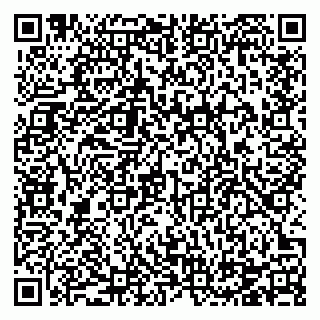 vCard 78124381427