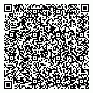 vCard 78124381721