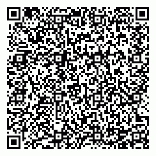 vCard 78124386410