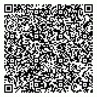 vCard 78124386497