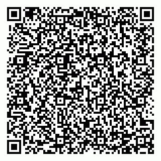 vCard 78124386509