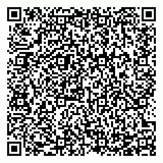 vCard 78124386529