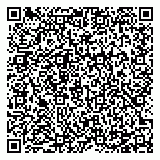 vCard 78124405301