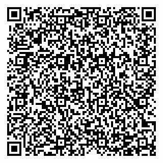 vCard 78124405313