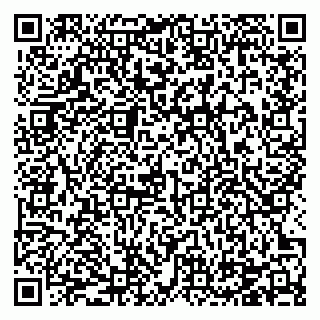vCard 78124416384