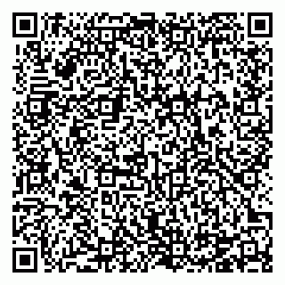 vCard 78124430381