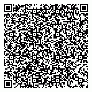 vCard 78124430387