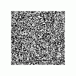 vCard 78124479381
