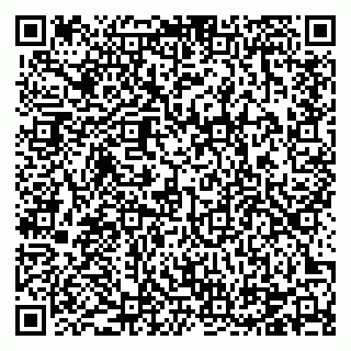 vCard 78124481509